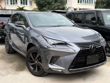 Lexus NX300 2.0 I PACKAGE (A)