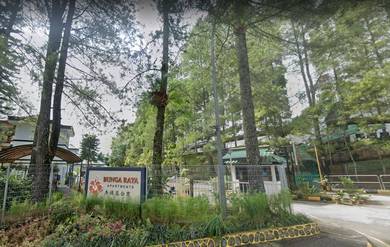Bunga Raya Apartment Genting 650sf|2Room|Freehold