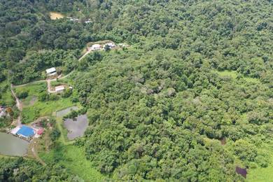Sarawak Bau Agriculture Land for Sale 97 acres Road Access Available