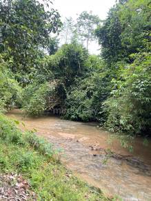 Agricultural-Land-for-sale-Lenggong-Perak