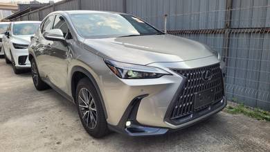 Lexus NX 250 2.5 4Cam PCS LDA BSM NFL Unreg