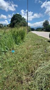 Agricultural-Land-for-sale-Kuala-Ketil-Kedah-3