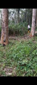 Agricultural-Land-for-sale-Lenggong-Perak