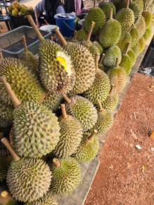 Agricultural-Land-for-sale-Others-Melaka