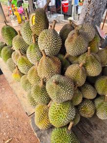 Agricultural-Land-for-sale-Others-Melaka-1