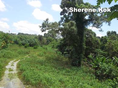 Agricultural Land @ Kuching Serian Road 29th Mile 2nd Lot from Highway