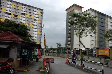 Pantai Permai, Pantai