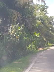 Development Land in Teluk Kumbar suitable for housing .