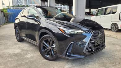 Lexus NX 250 2.5 P/R Mark Levinson 4Cam Unreg