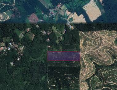 10 acres of fruit farm 5 mins from main road in Johol Negeri Sembilan