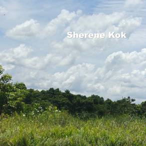Agricultural Land @ Rantau Panjang