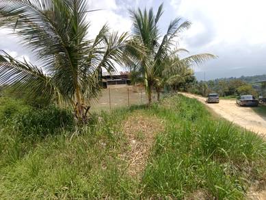 [MURAH] Tanah Pertanian Freehold Rizab Melayu 6.4 Ekar @ Janda Baik