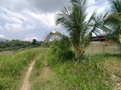 [MURAH] Tanah Pertanian Freehold Rizab Melayu 6.4 Ekar @ Janda Baik