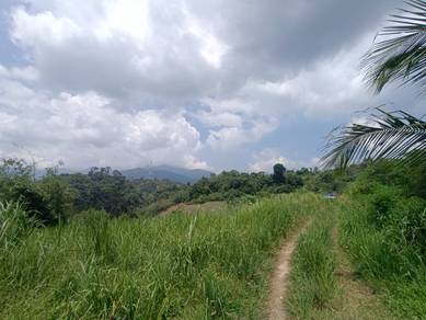 [MURAH] Tanah Pertanian Freehold Rizab Melayu 6.4 Ekar @ Janda Baik