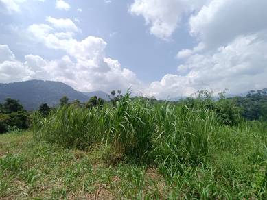[MURAH] Tanah Pertanian Freehold Rizab Melayu 6.4 Ekar @ Janda Baik