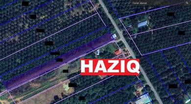 Agricultural-Land-for-sale-Kerian-Perak