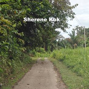 Agricultural Land @ Pangkalan Baru, Stephen Yong