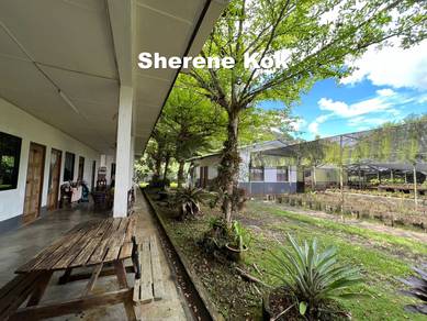 Beautiful Orchid Garden and Homestay @ Kuching Serian Road 13th Mile