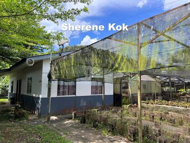 Beautiful Orchid Garden and Homestay @ Kuching Serian Road 13th Mile