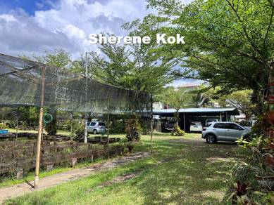 Beautiful Orchid Garden and Homestay @ Kuching Serian Road 13th Mile
