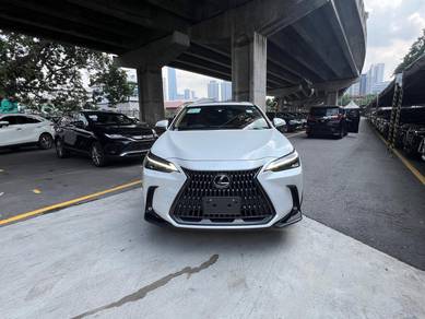 Lexus NX250 2.5 LUXURY H/U S/Roof BSM DIM P/S