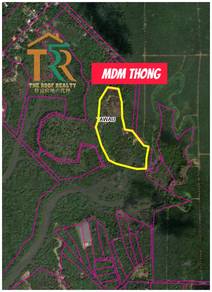 Oil palm | 20 acres | for sale
