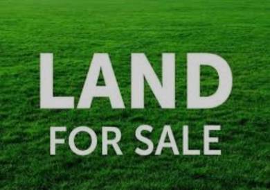 Pahang Raub mutual durian trees agriculture land for sales