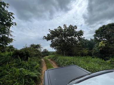 Agricultural-Land-for-sale-Kota-Tinggi-Johor-3