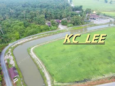 Agricultural-Land-for-sale-Kerian-Perak