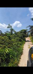 Agricultural-Land-for-sale-Kota-Tinggi-Johor-2