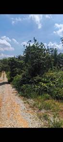 Agricultural-Land-for-sale-Kota-Tinggi-Johor-3