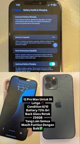 12promax 256 gb blue