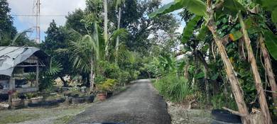 Tanah Kampung Baru Pendang - Geran Individu