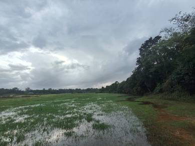 Agricultural-Land-for-sale-Hulu-Terengganu-Terengganu-2