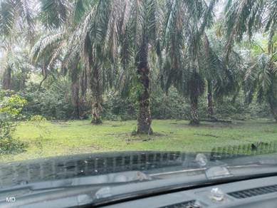 Agricultural-Land-for-sale-Hulu-Terengganu-Terengganu-3