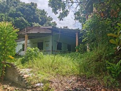 Pulai Chondong