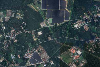 Nibong Tebal Agriculture Land Sale Freehold