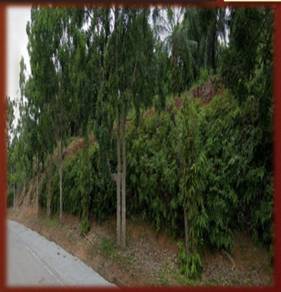 Agricultural-Land-for-sale-Ayer-Keroh-Melaka