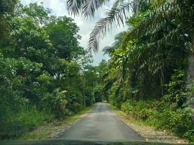 1.96 Acres Agricultural land sungai merab bangi selangor