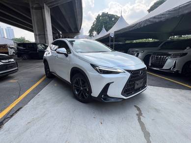 Lexus NX 250 2.5 LUXURY (A) SUNROOF DIM BSM