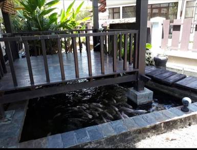 Pump Kolam Ikan
