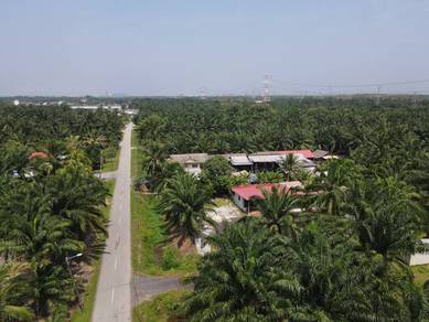 3 Ekar Tanah Kelapa Sawit Bukit Changgang Kuala Langat