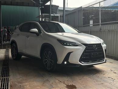 Lexus NX 250 2.5 VERSION L (A) GRADE 5A