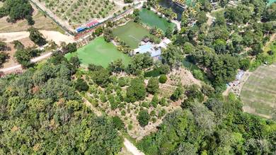 3.76 ac non bumi durian farm with 5 ponds with access in Hulu Langat