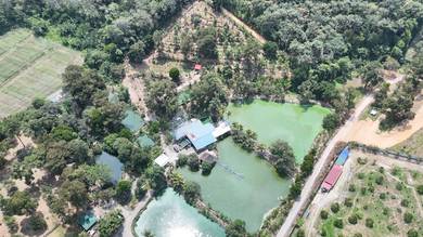 3.76 ac non bumi durian farm with 5 ponds with access in Hulu Langat