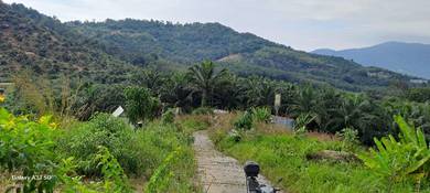 Agricultural-Land-for-rent-Tampin-Negeri-Sembilan-2