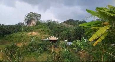 Agricultural-Land-for-rent-Tampin-Negeri-Sembilan