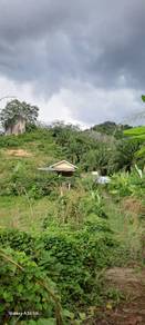 Agricultural-Land-for-rent-Tampin-Negeri-Sembilan-3