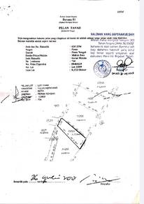 Agricultural-Land-for-sale-Bota-Perak