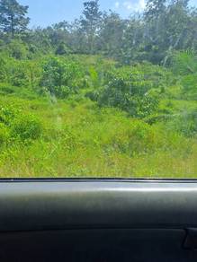 Agricultural-Land-for-rent-Raub-Pahang
